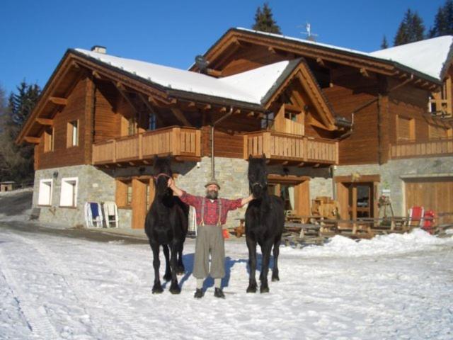 Вилла Agriturismo Chalet Caribona Вальдизотто Экстерьер фото
